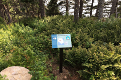 Informative Trail Signs