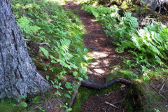 Burying Point Beach Trail