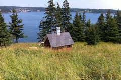 New Roof on Oil House