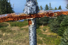 4. Catwalk railing deemed beyond repair (EC)