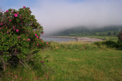 Carrying Place in Fog
