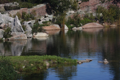 Quarry Pond