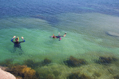 Ocean Swim